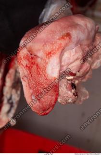 Photo Textures of RAW Pork Viscera